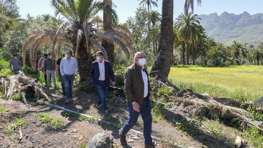 El Cabildo de Gran Canaria invierte 1,2 millones de euros para reducir el combustible vegetal y frenar el avance de los incendios