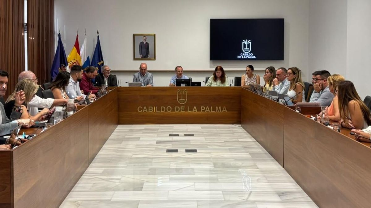 El Cabildo moviliza más de 2,9 millones en créditos extraordinarios e impulsa un préstamo de 27 millones para inversiones estratégicas