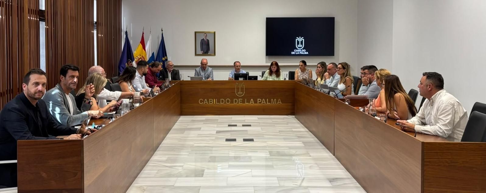 Pleno extraordinario del Cabildo celebrado este viernes.