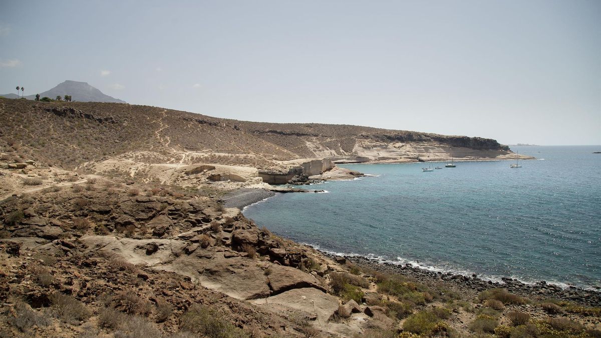 El Cabildo de Tenerife borra siete kilómetros de senderos en La Caleta de Adeje
