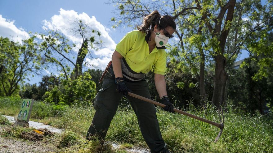 El experimento radical de Barcelona para renaturalizar la ciudad