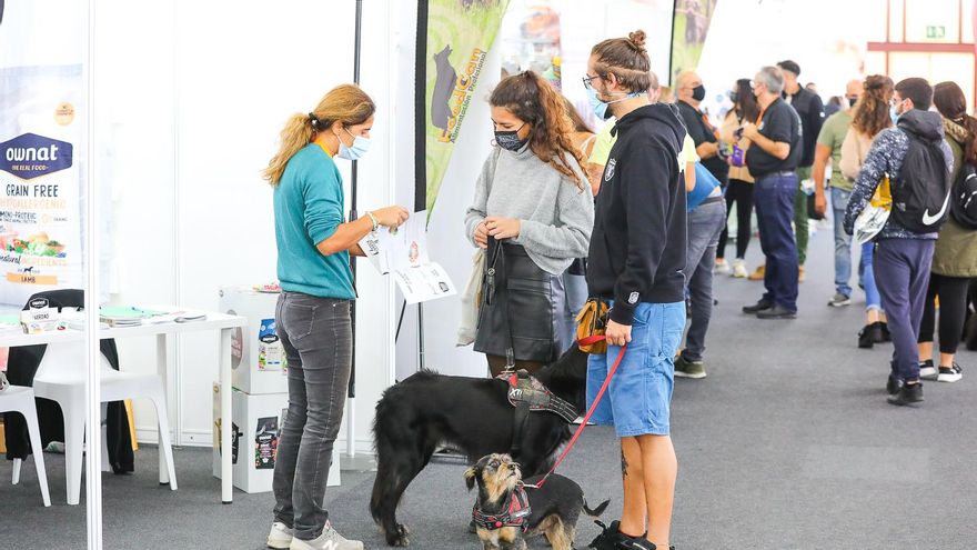 Participantes de la feria Animundo.