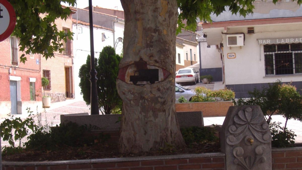 Lecciones del bosque en Castilla-La Mancha