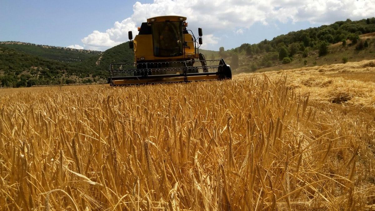 El campo riojano sigue en pie de guerra y anuncian movilizaciones: "La próxima siembra del cereal es insostenible"