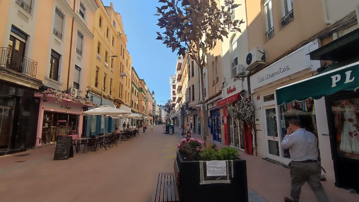Ya se criticó que los árboles fueran escasos y en jardinera en las nuevas calles peatonales del centro.