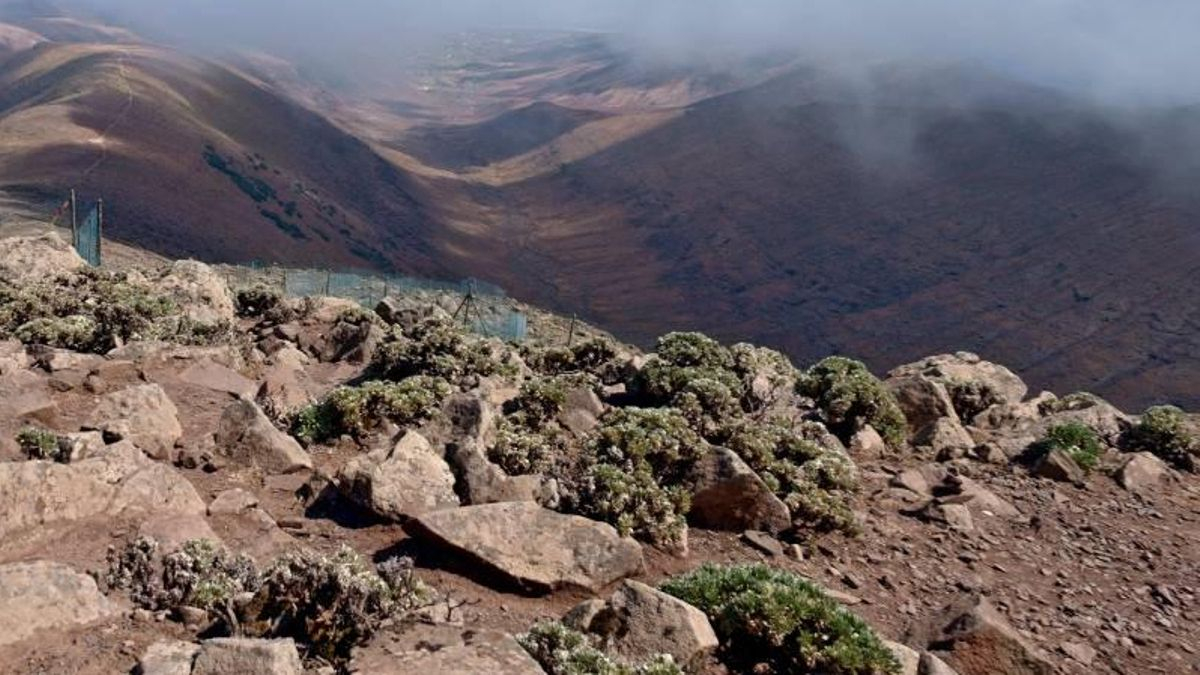 Muere una senderista tras encontrarse mal "a causa del calor" en Fuerteventura