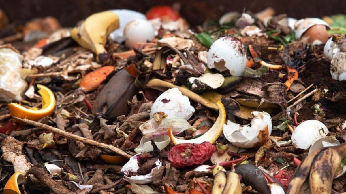 La corrupción. ¡Qué palabra!