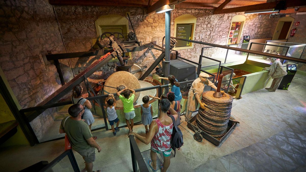 Visita guiada al molí de l'oli de Vandellòs a Costa Daurada