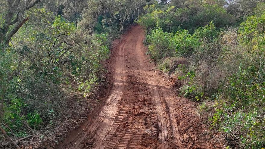 Denuncian la apertura de una pista en suelo de especial protección en la Sierra de Córdoba