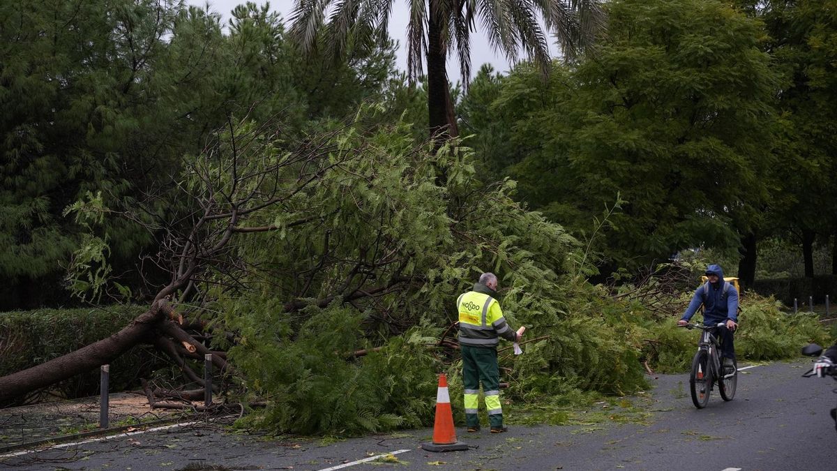 Lluvias "extraordinariamente persistentes" y avisos rojos: Andalucía sufrirá el paso de otros dos temporales