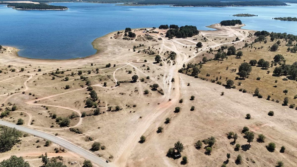 Una fallecida, menores conduciendo y más de 400 denuncias: investigan posibles incumplimientos en el festival Motorbeach de Soria