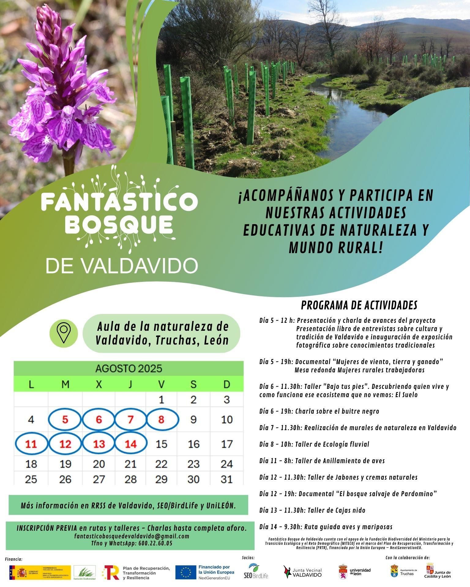Programa de actividades de verano del Bosque de Valdavido.