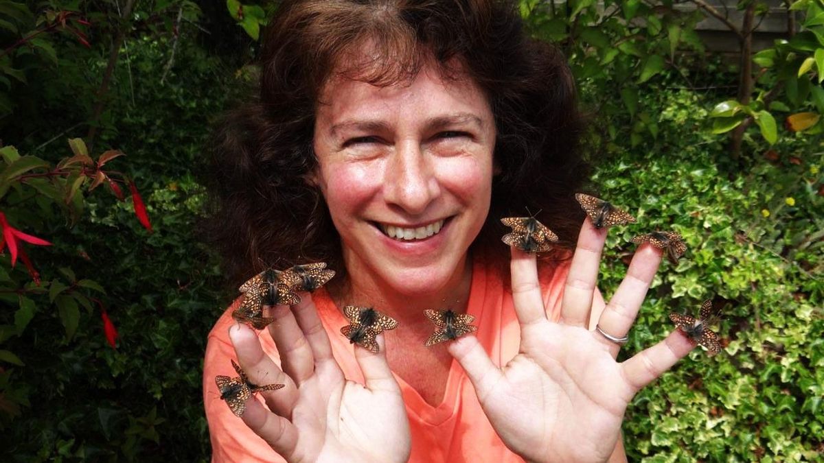 Premio Fronteras del Conocimiento a Camille Parmesan por sus estudios sobre el cambio climático