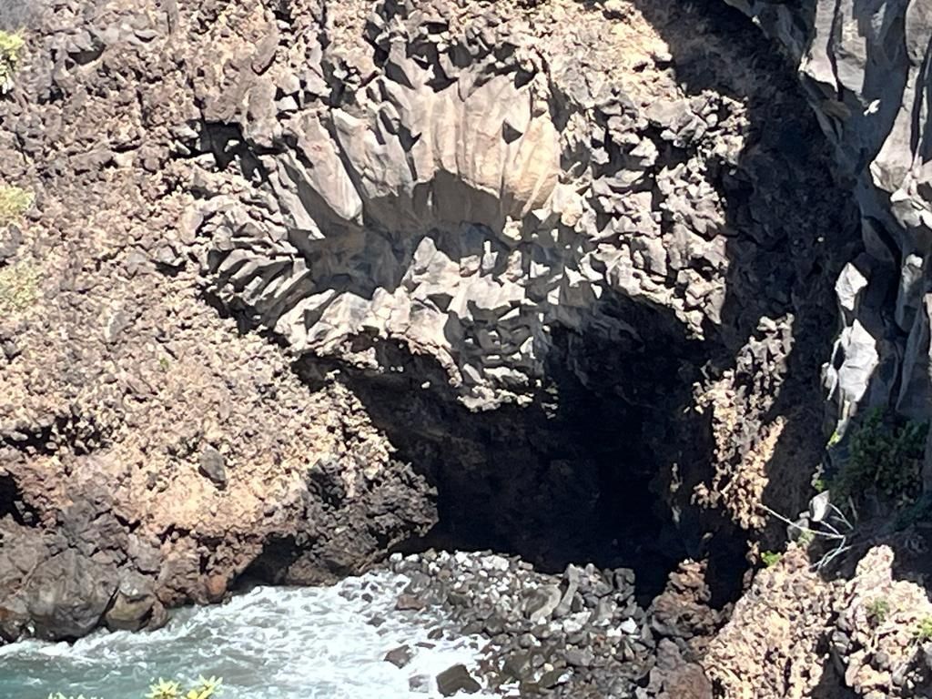 La naturaleza obsequia caprichos como esta especie de flor creada por una colada lávica al llegar al mar