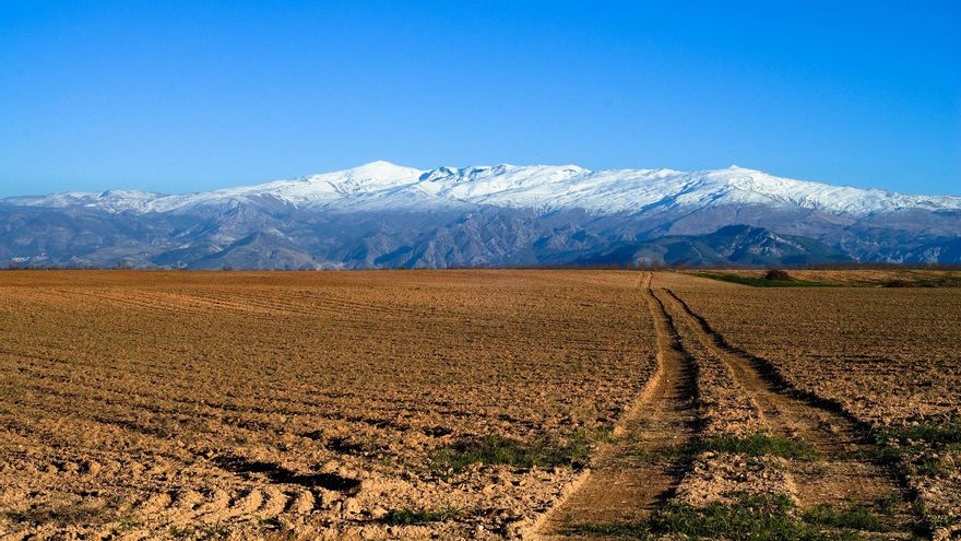 O sistema hidráulico do Império Romano na Serra Nevada continua a alimentar nascentes e vegetação no século XXI.
