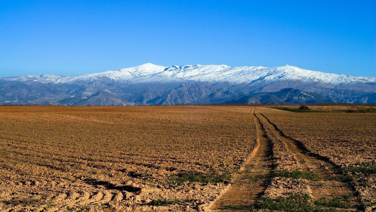 Las imágenes satelitales muestran que la vegetación próxima a las acequias de Sierra Nevada es más densa y vigorosa