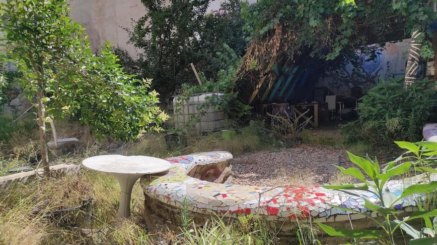 El verde persiste en el solar de Grilo sin mantenimiento alguno