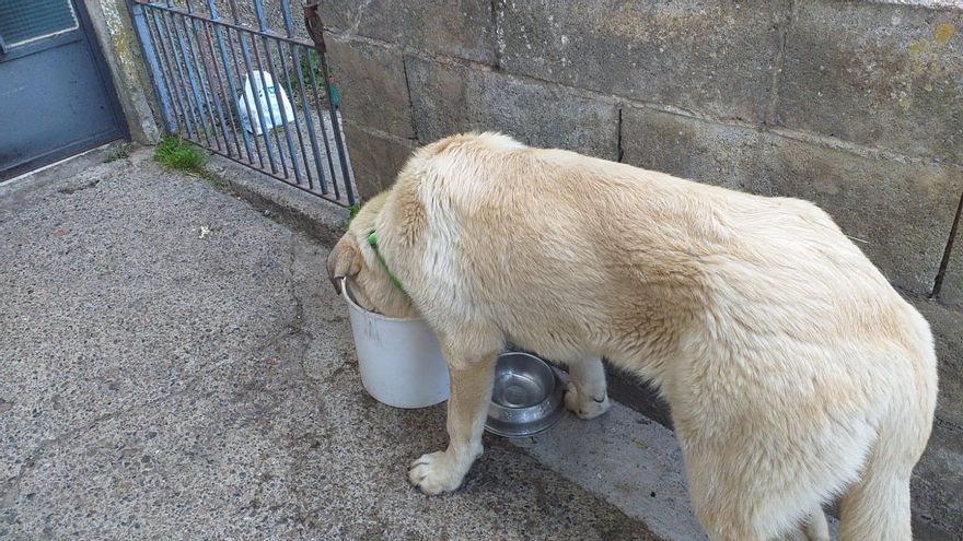 Milagros estrenando casa.