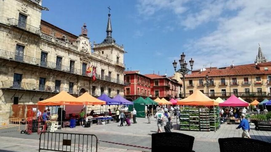 Vuelta a la actividad del mercado de la Plaza Mayor de León.