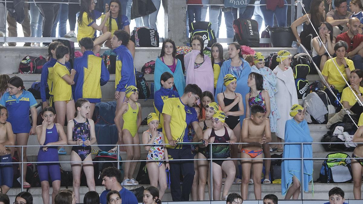 XV Trofeo Ciudad de Córdoba de Natación