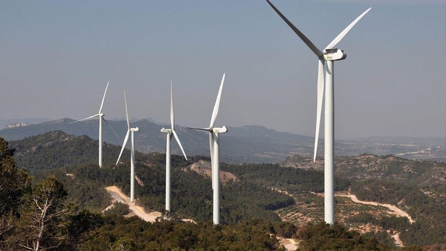 Se presentan alegaciones contra las nuevas centrales eólicas en Los Monegros por la presencia de aves en peligro de extinción