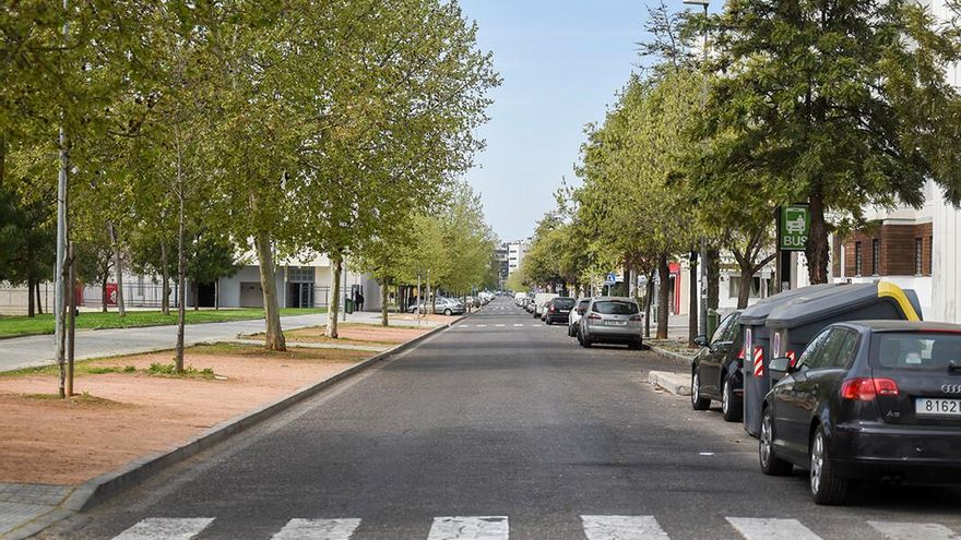 El patrimonio del bosque urbano: 772 euros de valor y beneficios por cada árbol plantado