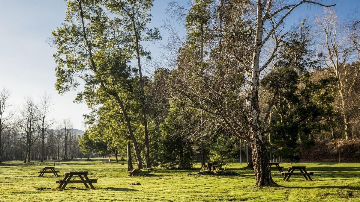 Torrelavega encarga un estudio sobre la seguridad de dos pasarelas sobre el Besaya