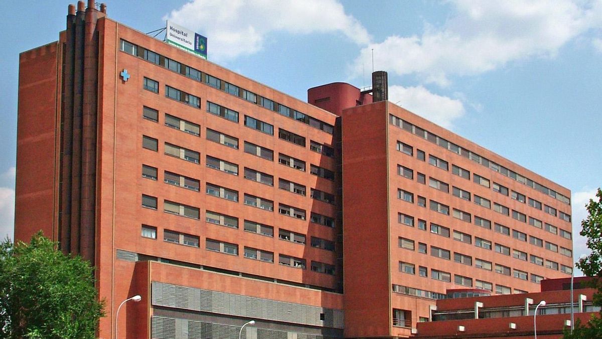 Dos heridos por asta de toro, uno de ellos de "extrema gravedad", durante un encierro en Brihuega