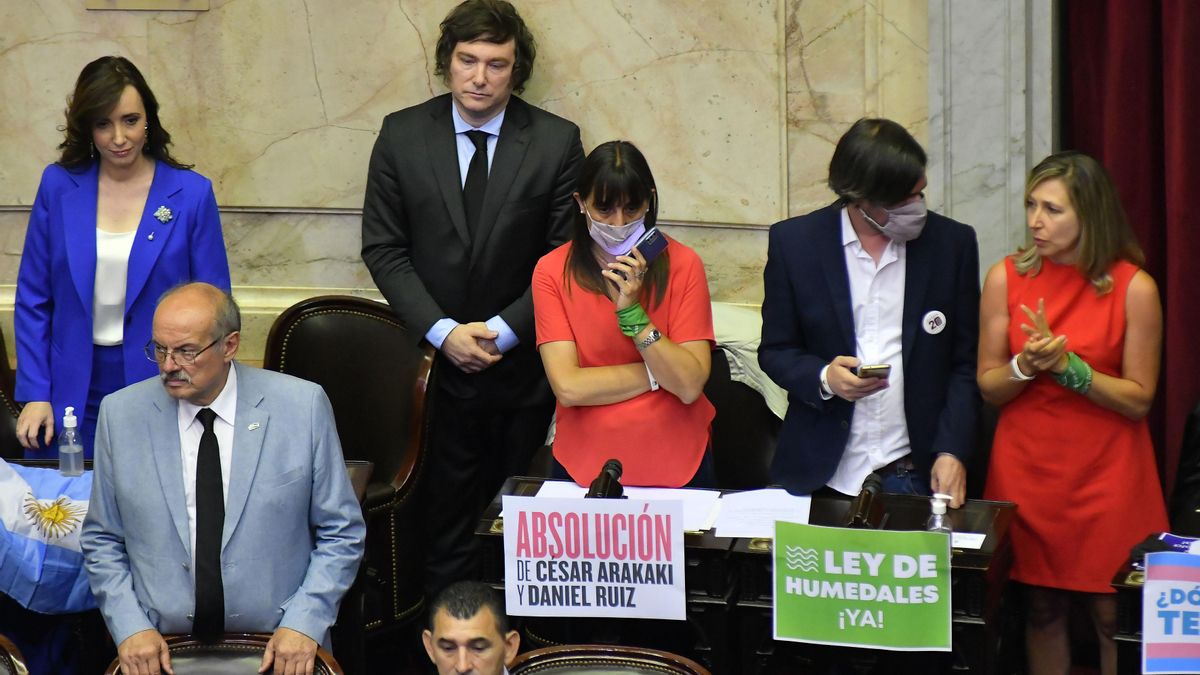 Myriam Bregman compartió banca, a solo unos metros, con Javier Milei cuando el presidente era diputado