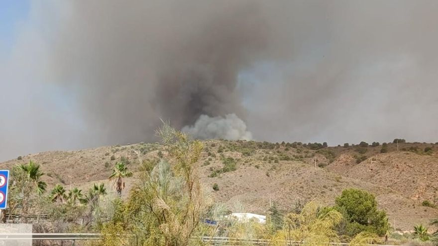 Nubes de humo junto a la carretera en la zona del incendio de Los Gallardos
