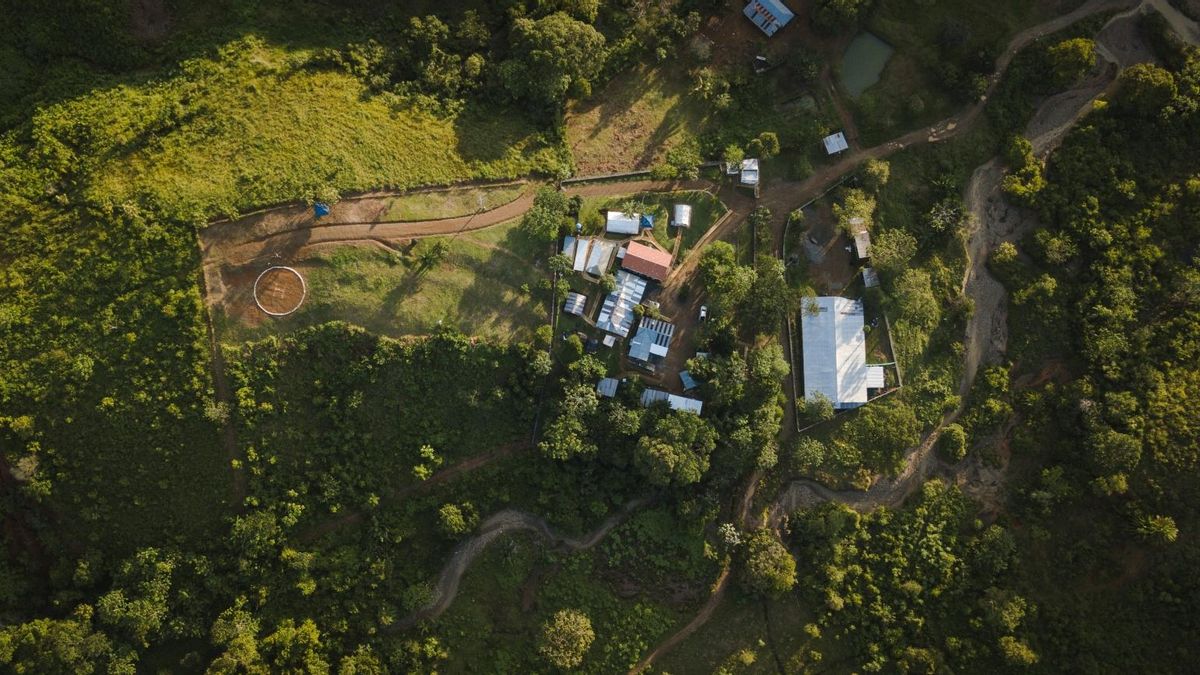 Vista aérea del terreno donde se desarrollará el proyecto minero de cobre El Alacrán, ubicado en el departamento de Córdoba, al norte de Colombia. Foto: CMH Colombia