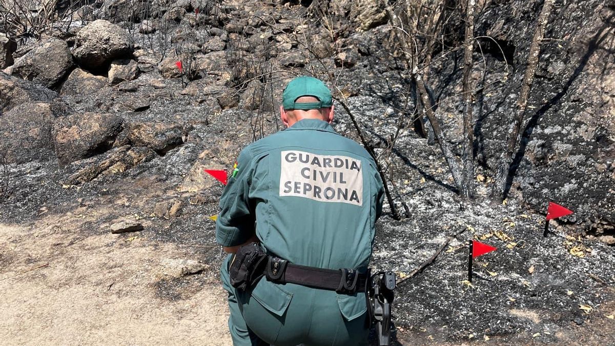 Tres excursionistas investigados como supuestos autores del incendio que quemó más de 10.000 hectáreas en Zamora