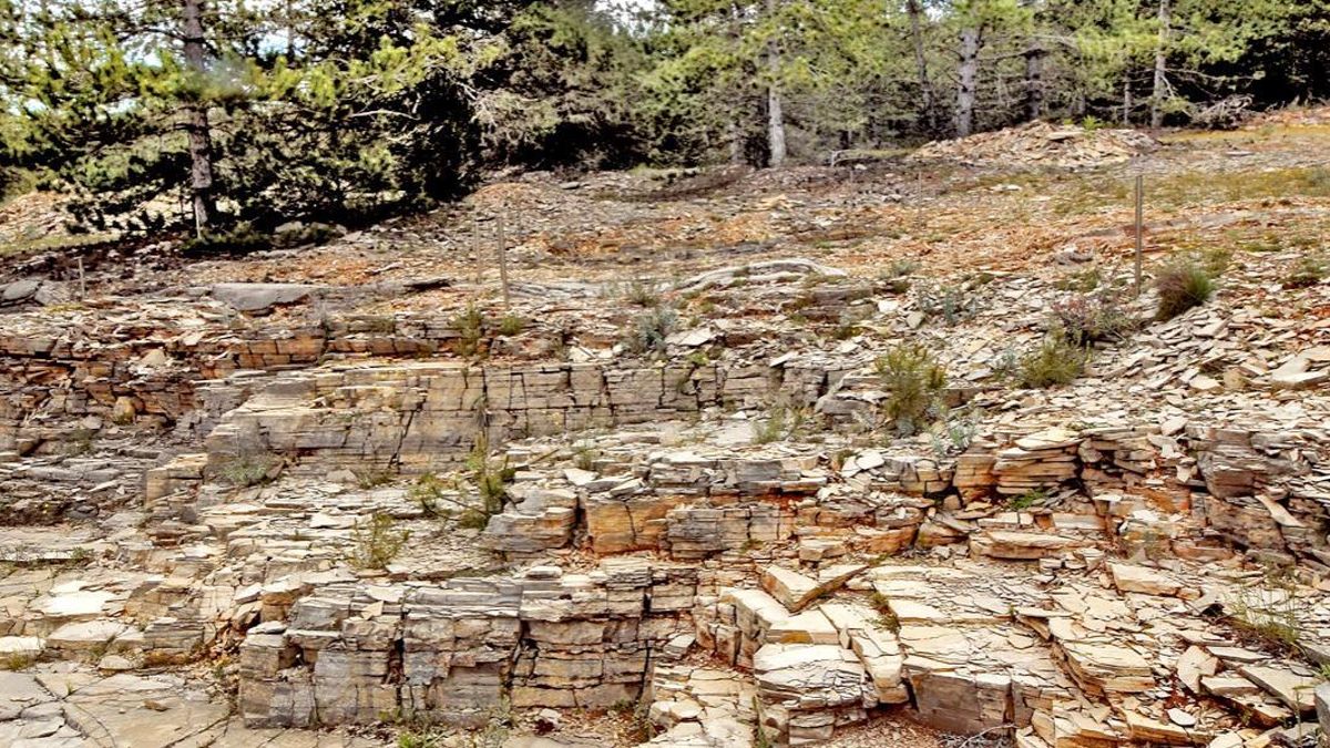 Yacimiento de Las Hoyas