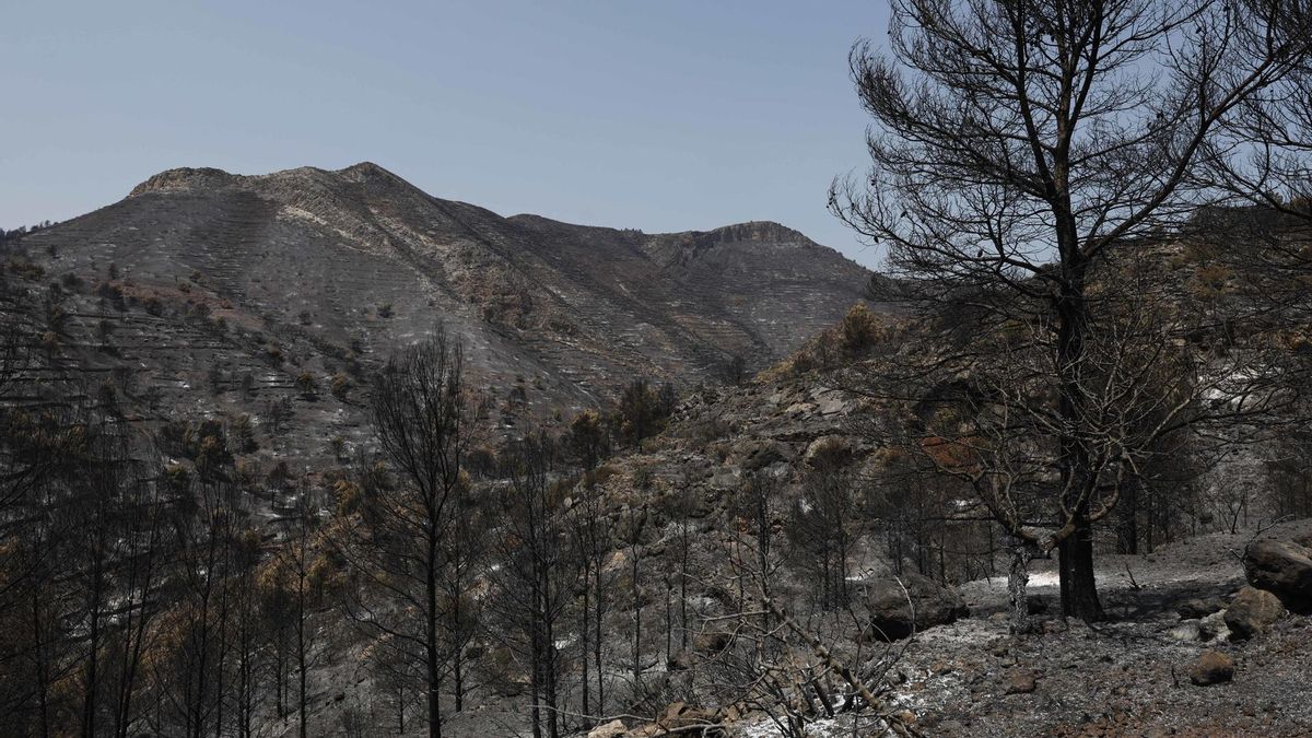 El incendio de Vall d'Uixó mantiene su perímetro y afronta una noche "crítica"