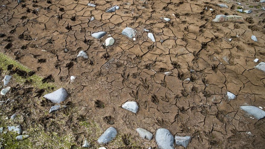 Investigadores argentinos analizarán la presencia de microplásticos en la atmósfera antártica