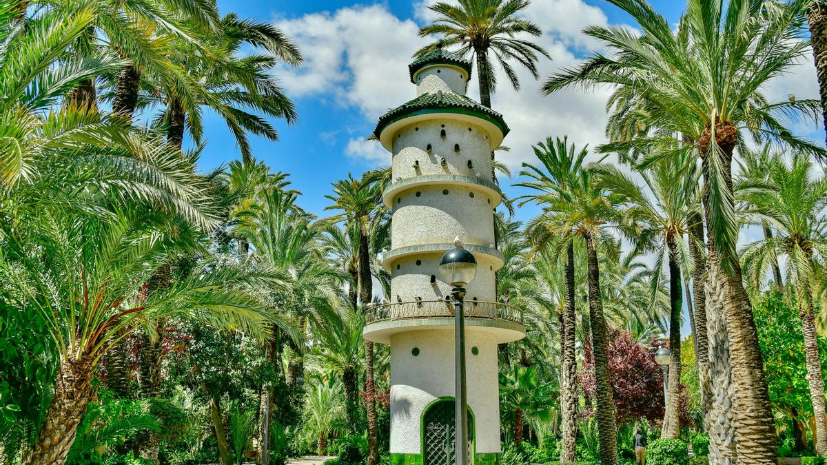 La elección de Elche responde a su elevada concentración de zonas verdes y humedales