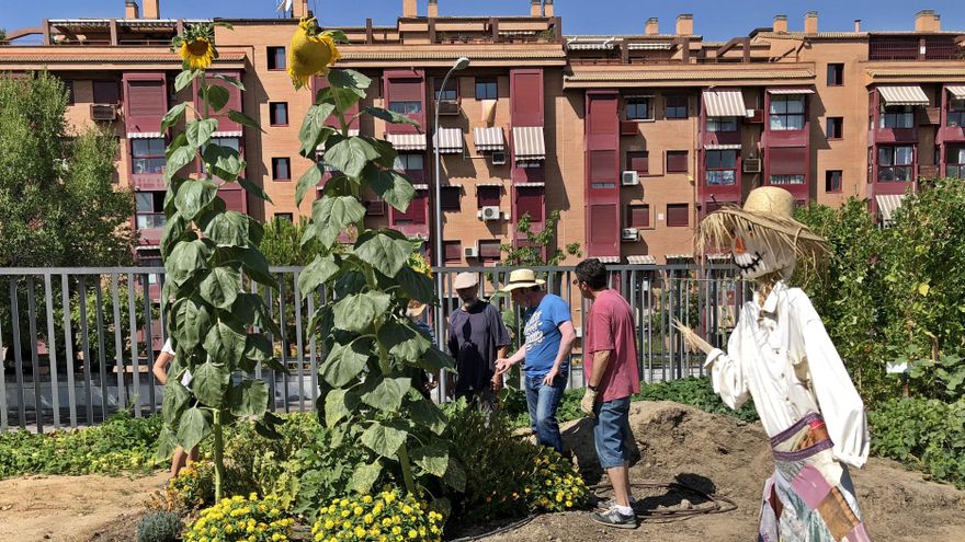 Desalojo en el Huerto de las Vías: los vecinos denuncian que Almeida les echa pese a quedarles un año de cesión