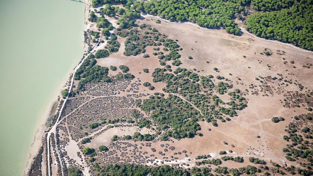 El Parque Nacional de Doñana