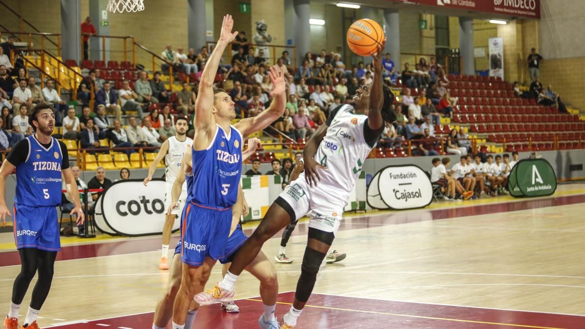 Cajasol Coto Córdoba CB - Tizona Burgos