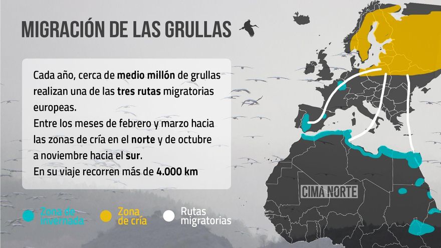 La migración de las grullas
