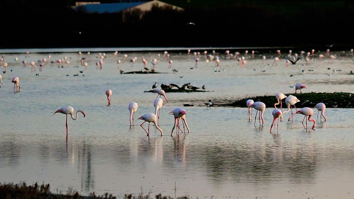 La Inesperada, una idílica laguna volcánica en el corazón de Ciudad Real que puedes visitar este fin de semana
