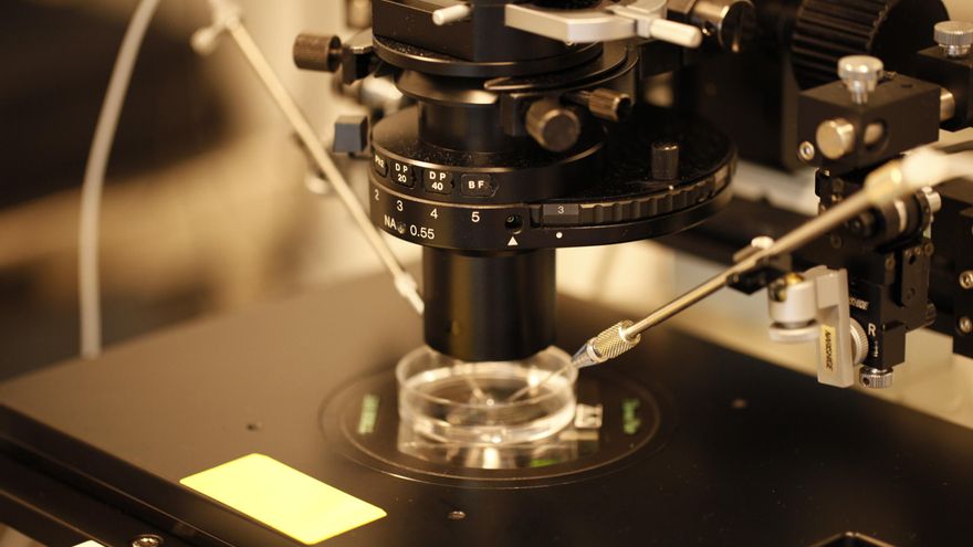 Castilla-La Mancha quiere movilizar más de 2.000 millones de euros en Investigación e Innovación hasta 2027