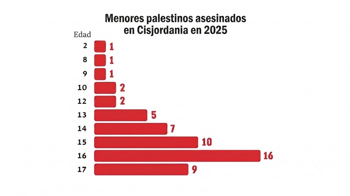 B'Tselem