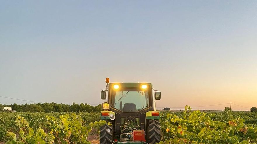 El envejecimiento y la masculinización, problemas  del sector cooperativo agroalimentario de Castilla-La Mancha