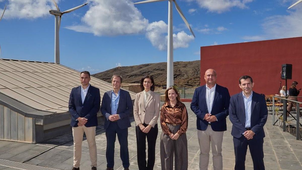 Cabildo, ITER y Endesa, a través de su filial Enel Green Power, impulsan la modernización de los parques eólicos de Granadilla
