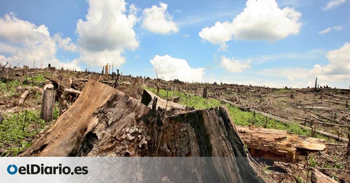 La UE vuelve a retrasar la ley contra la deforestación otro año