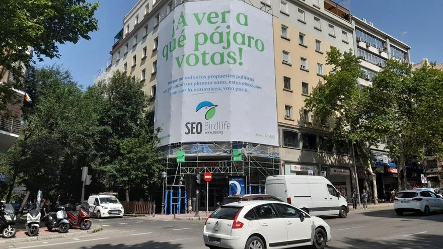Campaña de SEO/Birdlife