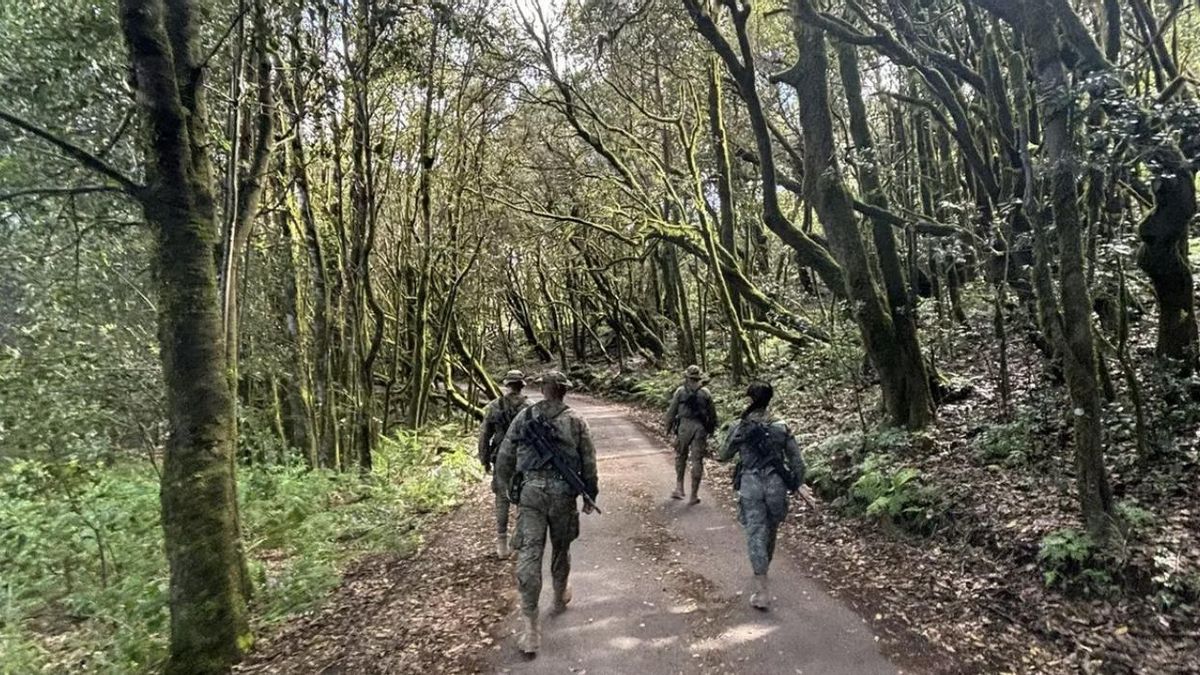 El Ejército despliega patrullas en La Gomera y Lanzarote "para garantizar la seguridad de los espacios terrestres bajo soberanía nacional"