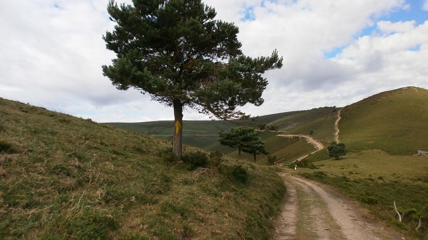 El peregrinaje por el Camino del Norte y el Camino Primitivo, en bicicleta