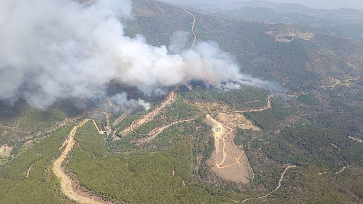 Un incendio en Las Hurdes obliga a evacuar la alquería de Avellanar